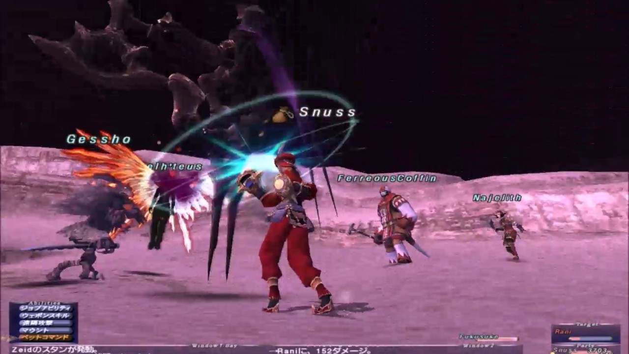FF11 Rani からくり士ソロ（天神なし）