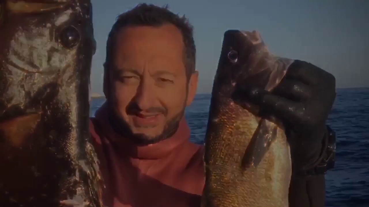 Pescasub Skopelos: Mamma mia! Il re dei dotti...ed i suoi fratelli  🌊🌊🌊