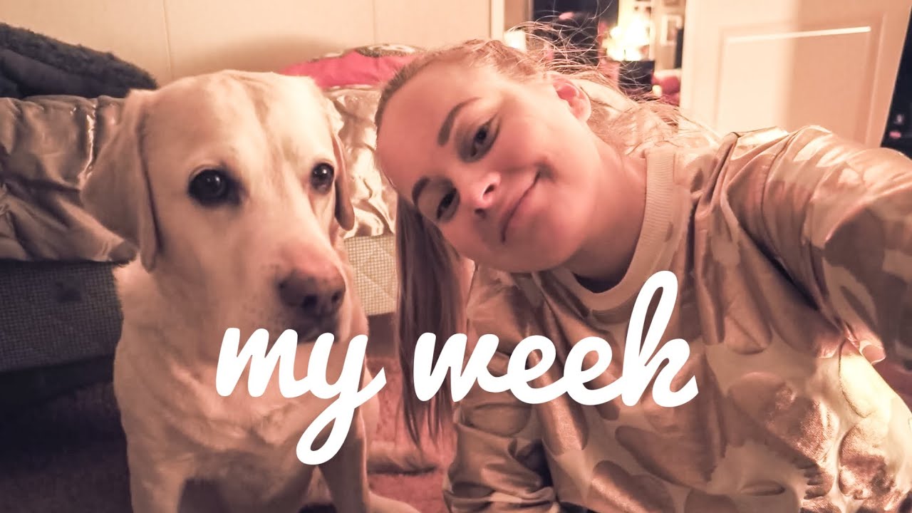 MY WEEK: Ennakkojoulu perheen kanssa & Los Angeles kutsuu