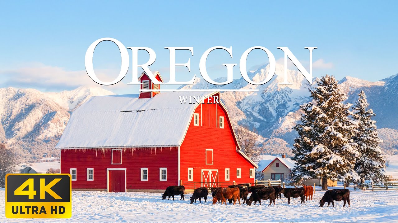 Oregon Winter 4K ULTRA HD ❄️ Snowy Pine Forests, Volcanic Peaks & Winter Silence