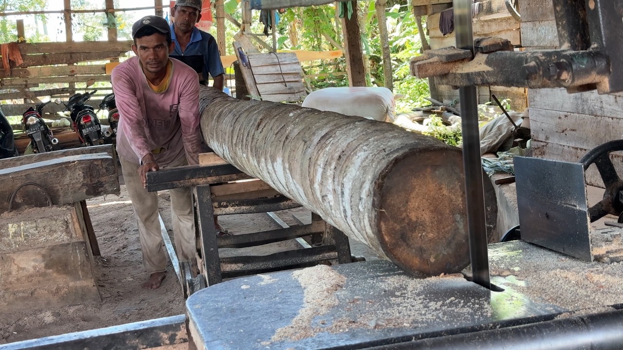 Sawing coconut wood into 2x20 with the latest sawmill machine