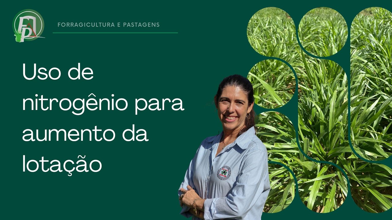 NITROGÊNIO PARA AUMENTO DA TAXA DE LOTAÇÃO