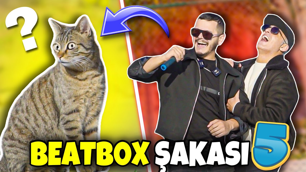 TÜRKİYEDE BEATBOX ŞAKASI 5 !!( KÖPEK ÇILDIRDI )- SOSYAL DENEY