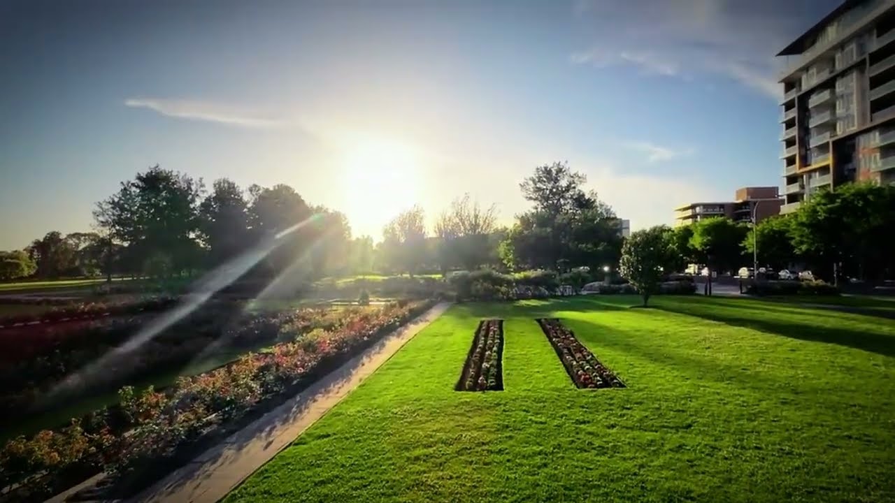 Blooming Roses at Qingdao Rose Garden, Adelaide | 4K Relaxing Nature Vlog