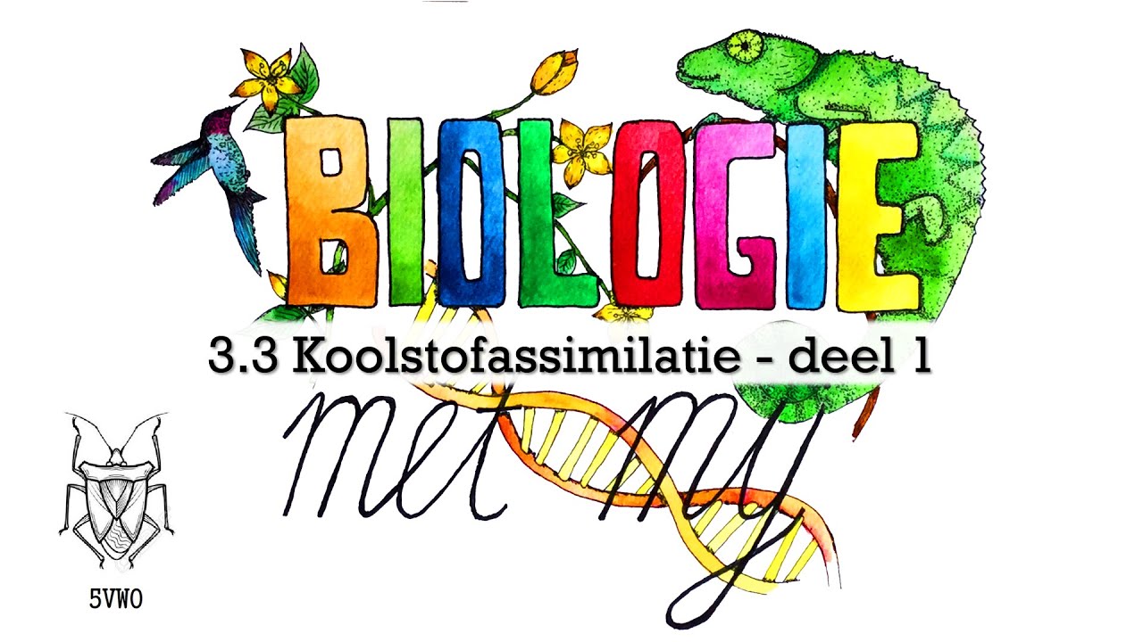 5V - 3.3 Koolstofassimilatie deel 1
