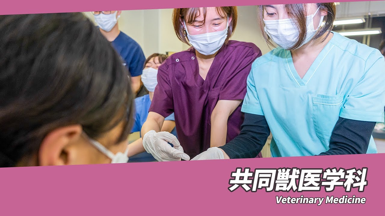 岐阜大学　応用生物科学部　共同獣医学科