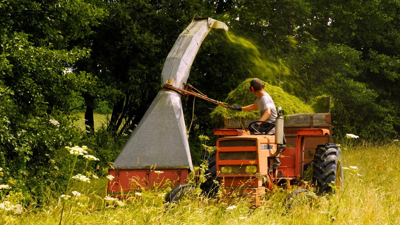 Maraîchage tout herbe - prairies, mulch et fertilité