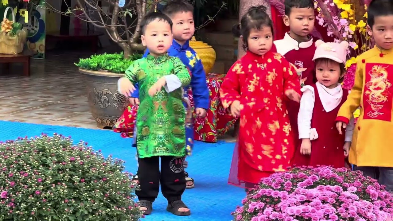 Vui tết 2026