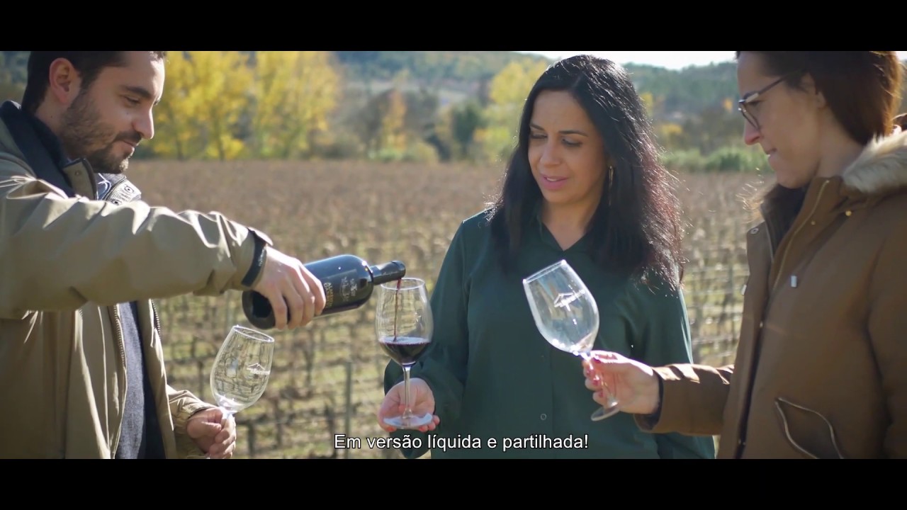 e-Noturismo I Tour pelos Vinhos 5 Regiões Vitivinicolas Centro Portugal I Vinhos da Beira Interior