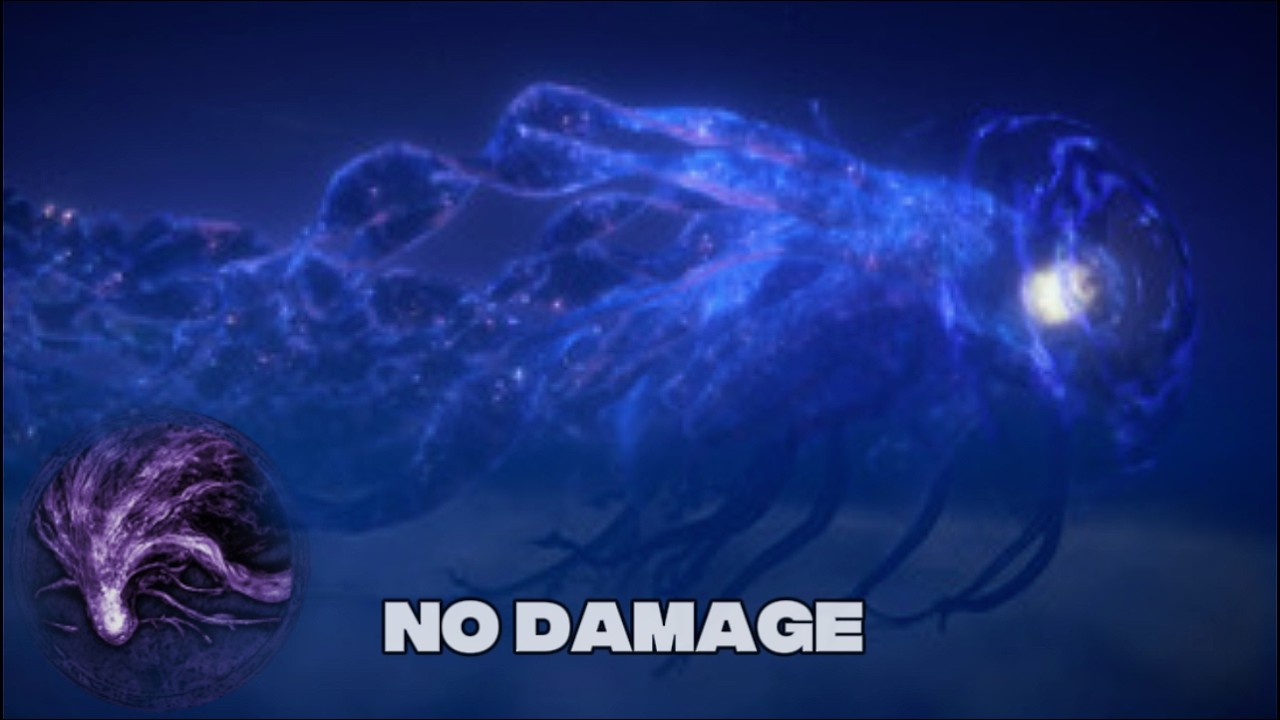 Elden Ring Nightreign - Everdark Sovereign Augur No damage / No hit