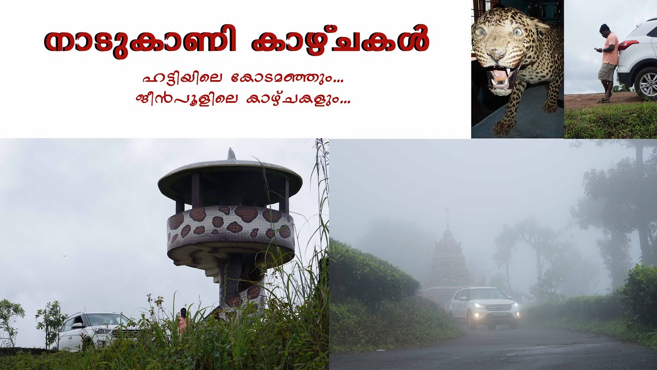 Gene pool echo park Nadugani/ Travel through Hatti road from Pandiyar/ Nearby attractions of Gudalur