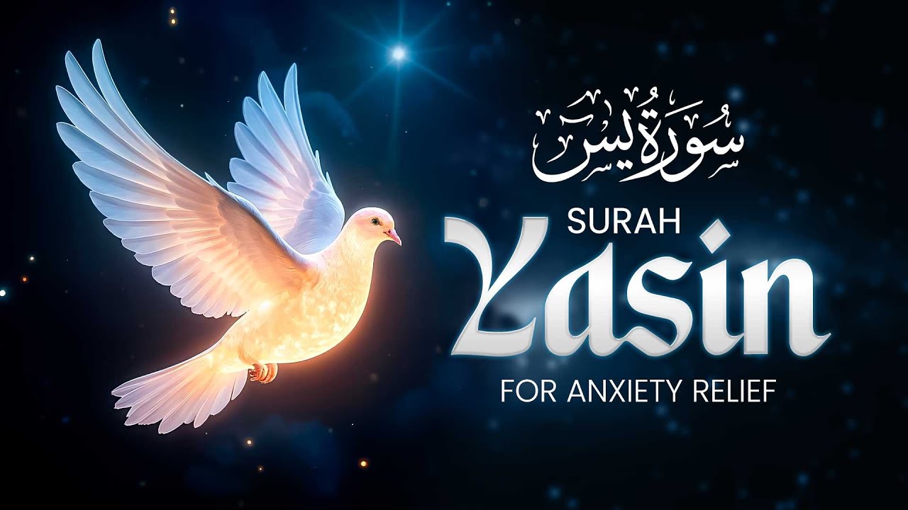 Surah Yaseen Full Recitation with English Translation | Surah 36 | Beautiful Quran
