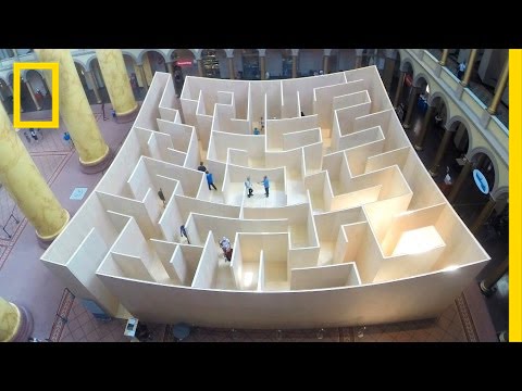Mazes: Key to Brain Development? | National Geographic