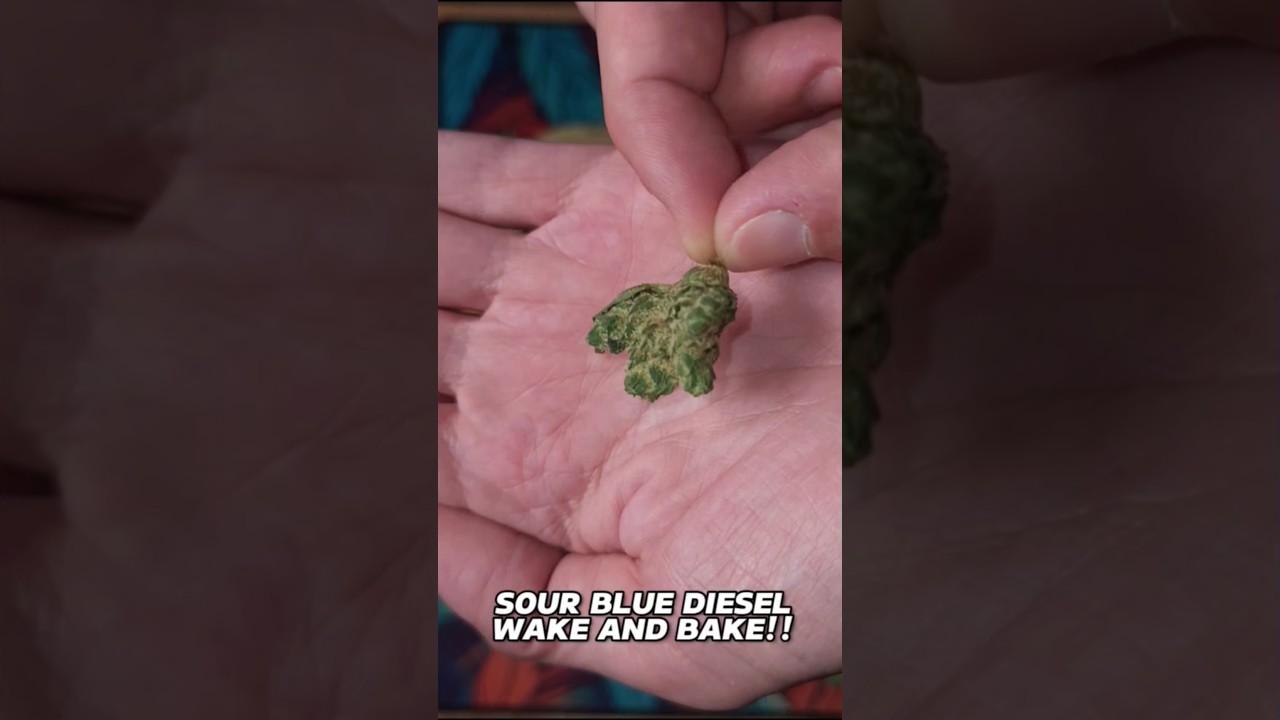 Sour Blue Diesel Wake & Bake!! One Of My FAVORITE Sativa Cannabis Strains!!