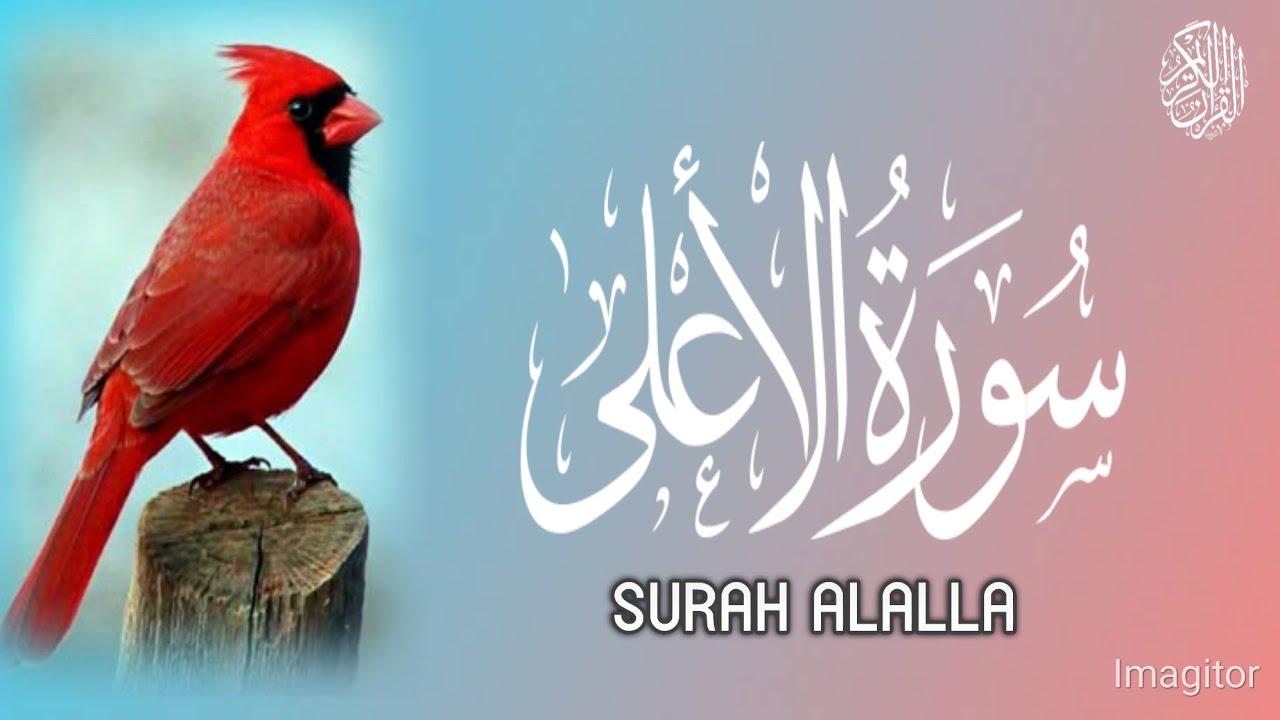 Surah Al-A'la (سورۃ الاعلیٰ) | Beautiful Quran Recitation | Full HD Tilawat 2026