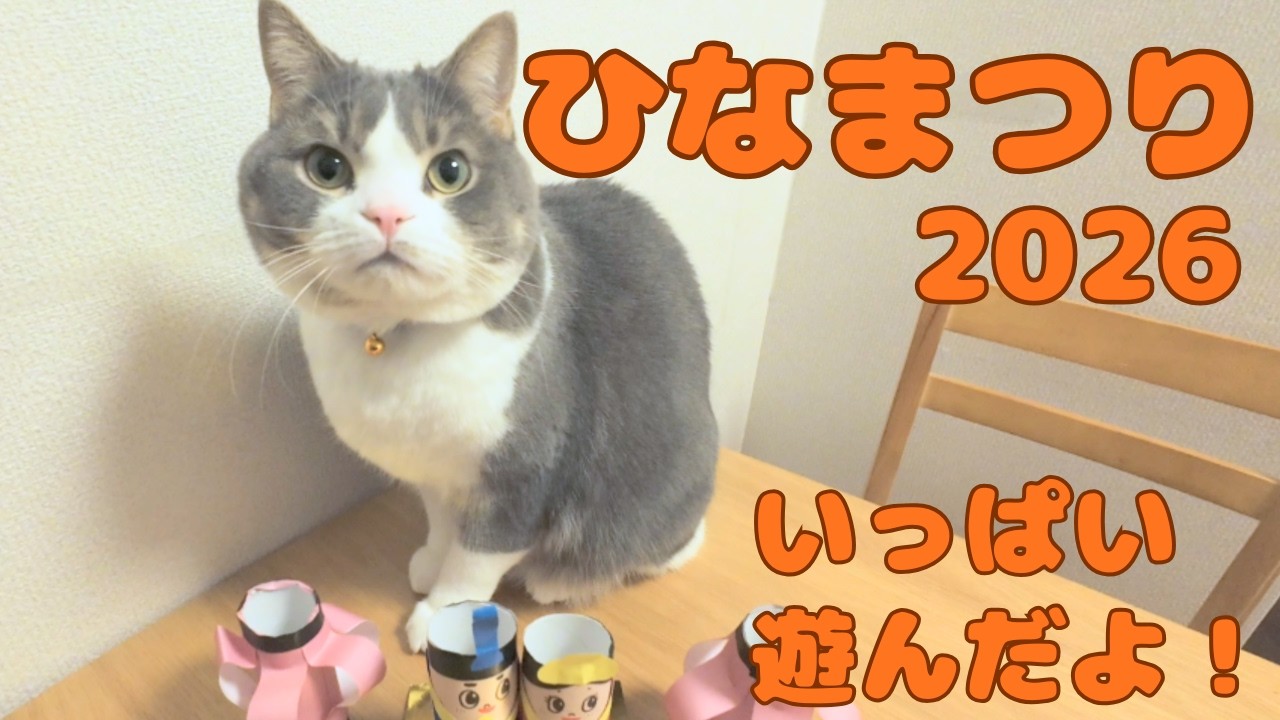 まめと一緒にひな祭り！いっぱい作って、遊びました！　17