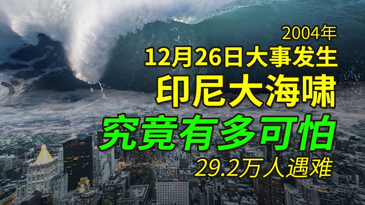 印度洋海啸到底有多可怕，29万人遇难，51万人受伤，想起都会打颤