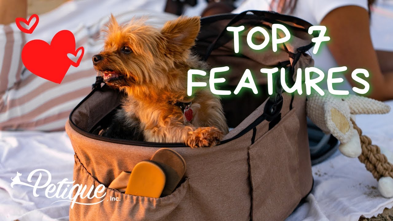 TOP 7 Features for the Newport Pet Stroller