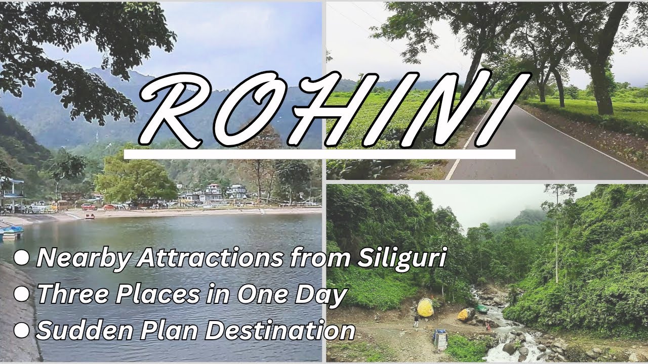 Rohini Tourist Spots | Siliguri to Rohini | Offbeat North Bengal | North Bengal Tourist Places