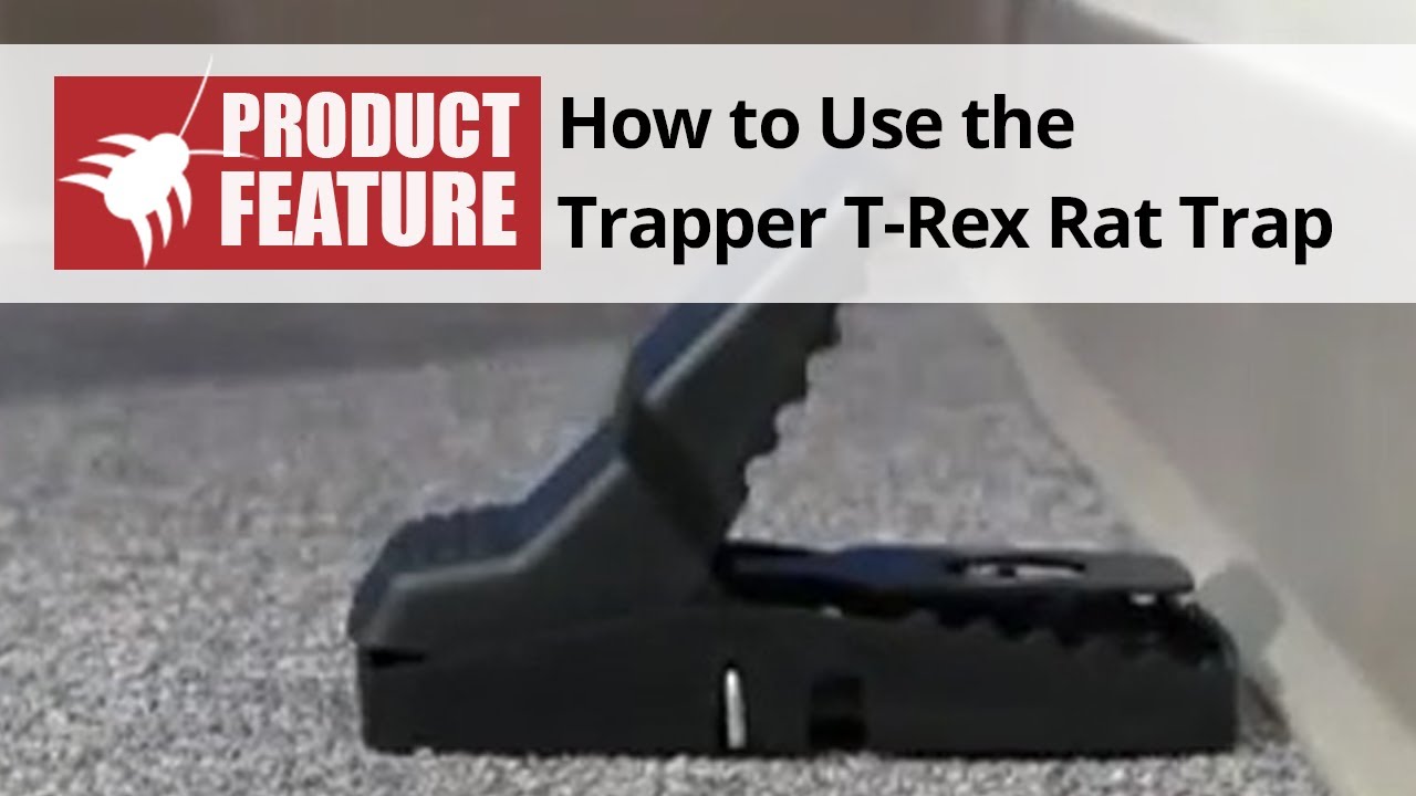 Trapper T-Rex Rat Trap Review