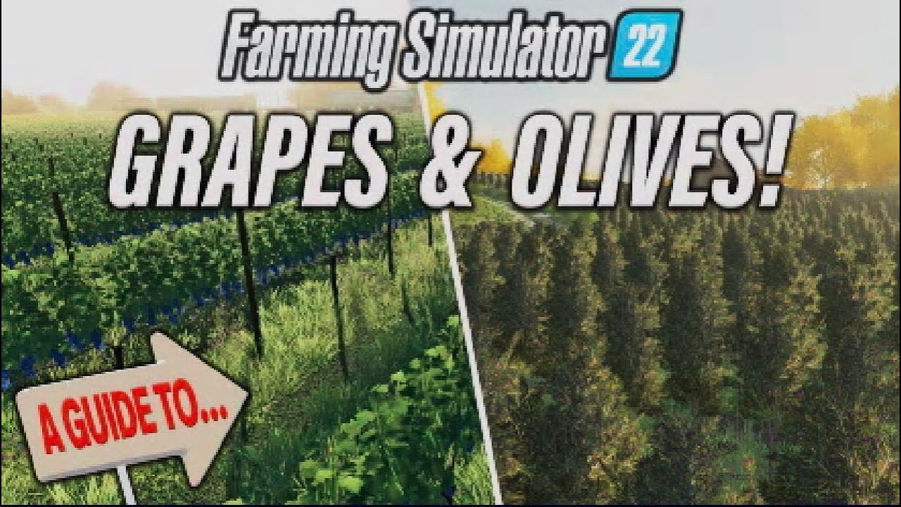 FS22 | A GUIDE TO… GRAPES & OLIVES! | Farming Simulator 22 | INFO SHARING PS5.
