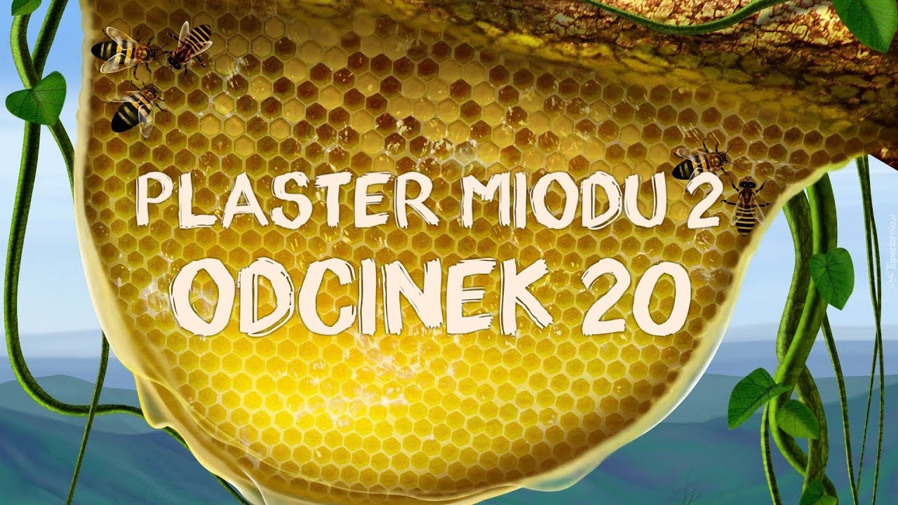 Plaster miodu 2 [#20] Złamany grosz