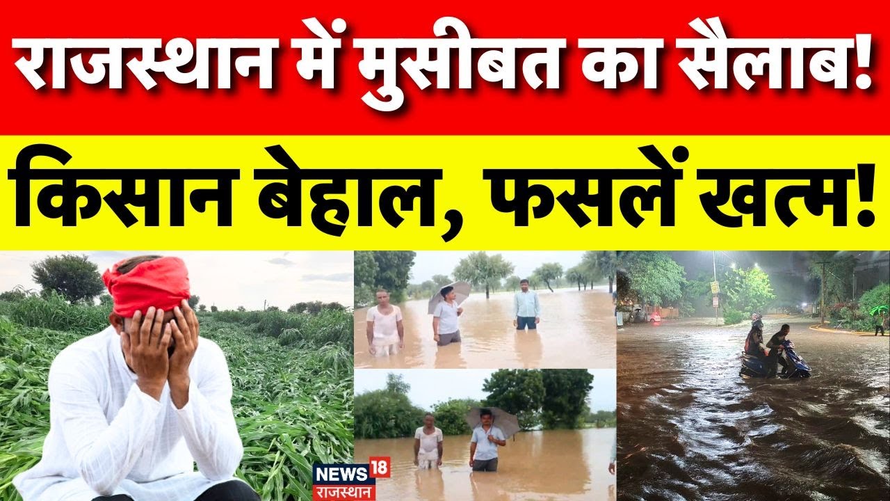 Nagaur Heavy Rain : किसान परेशान, सरकार से मदद की मांग। Rajasthan Weather। Monsoon Alert। Disaster