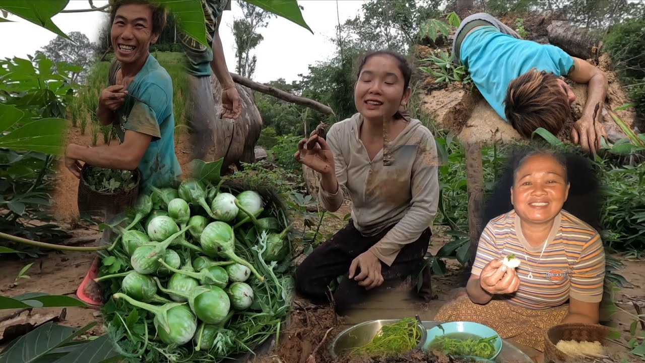 ຕຳຫມາກເຂືອໃສ່ໄຂ່//ตำหมากเขือใส่ไข่ 25 กรกฎาคม ค.ศ. 2025