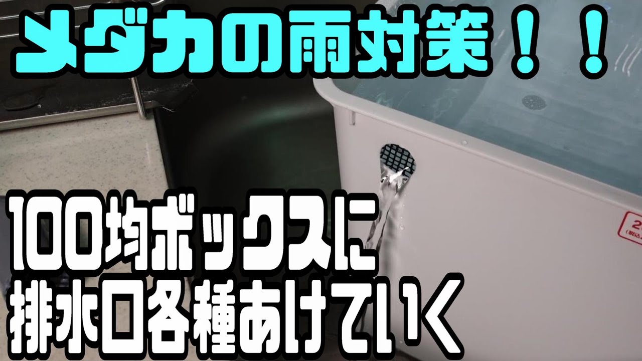 【メダカ雨対策】100均のストレージボックスに排水口設置して雨対策していく！！
