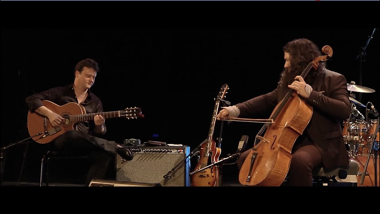 Sylvain Luc & Stefano Di Battista 4Tet - What Are You Doing - Nancy Jazz Pulsation (2014)
