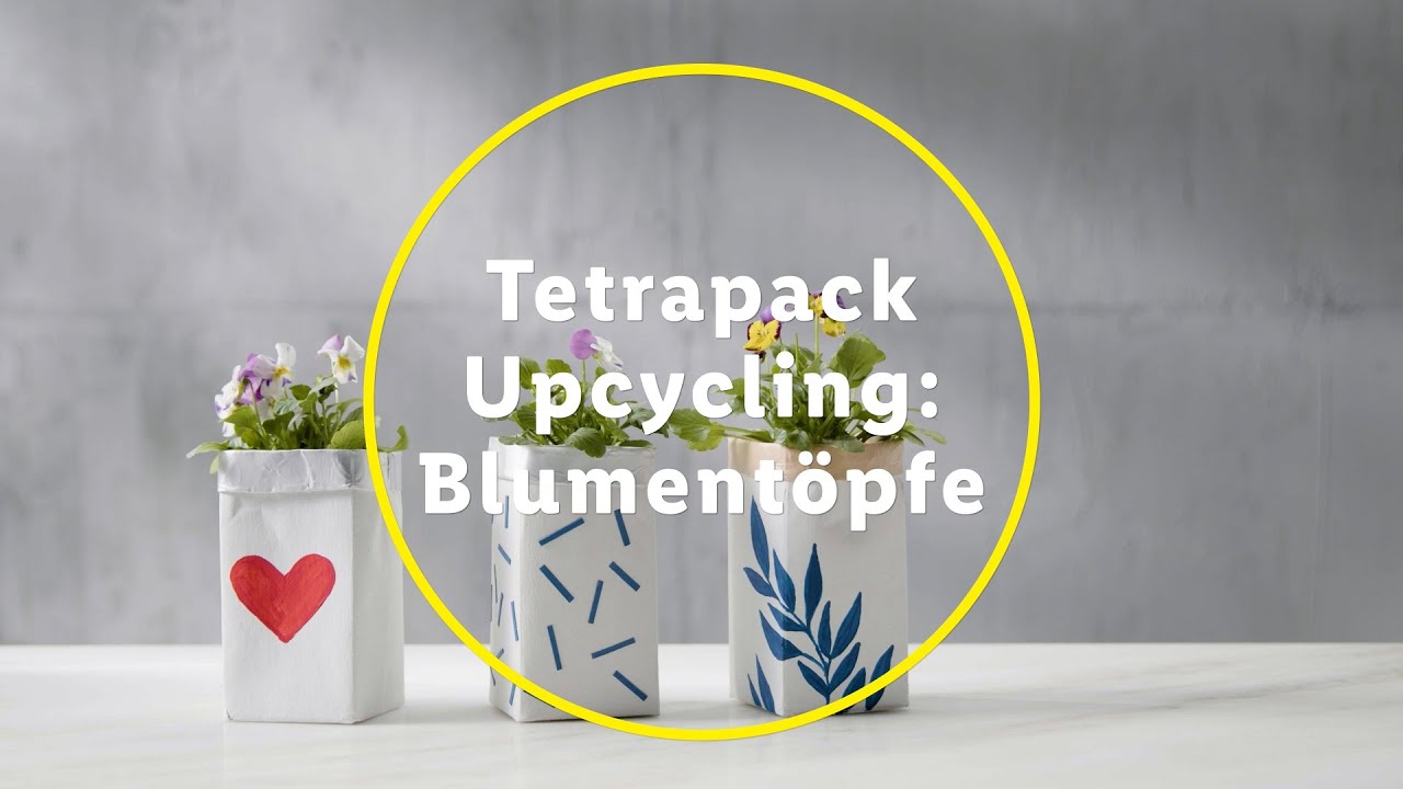 Tetrapack Upcycling: Blumentopf selber machen