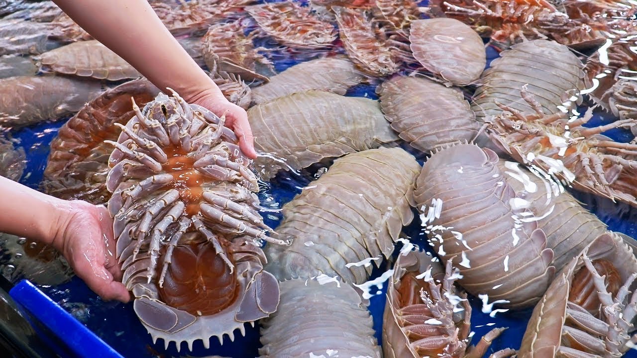 HORRIFYING! Fishermen catch and process a terrifying giant isopod, would you dare eat it?
