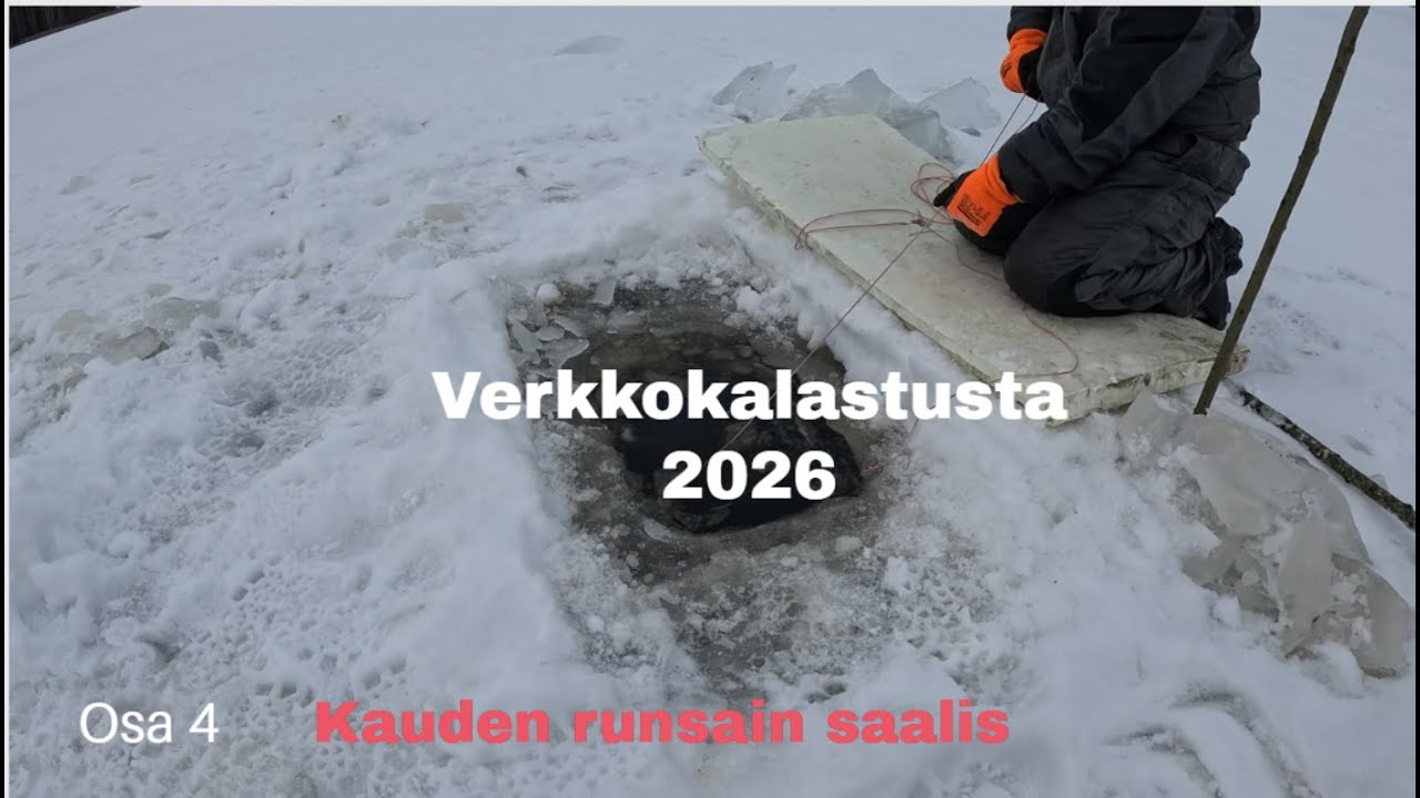 Verkkokalastusta 2026 osa 4