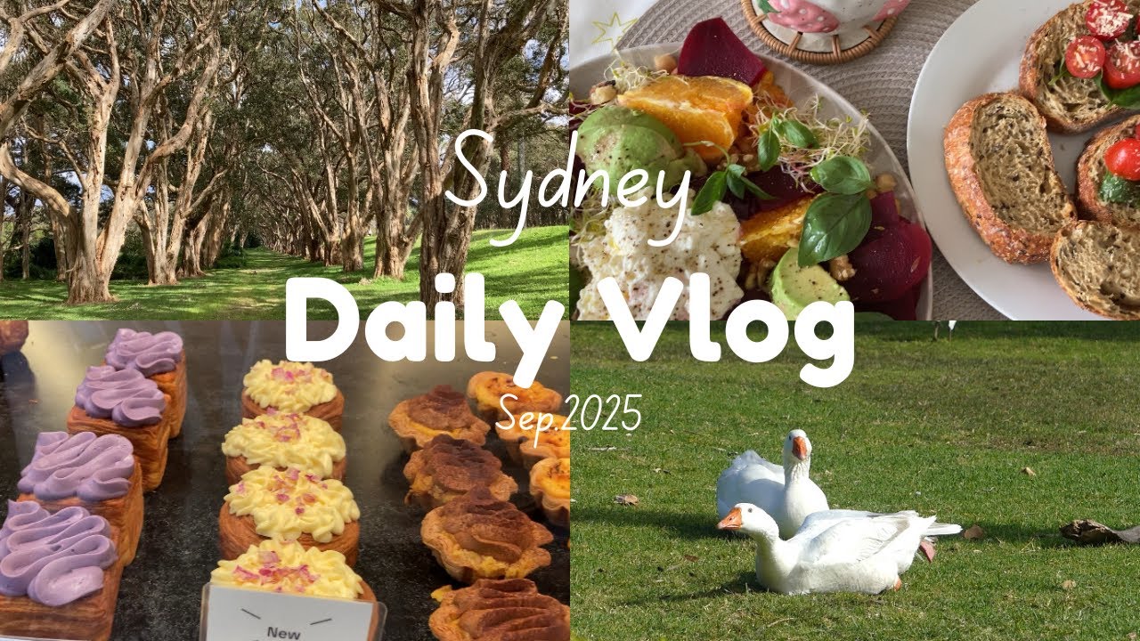 シドニー暮らしVlog｜1人時間で心を整える｜おしゃれブランチと自然の癒し、鳥とベーカリーの週末