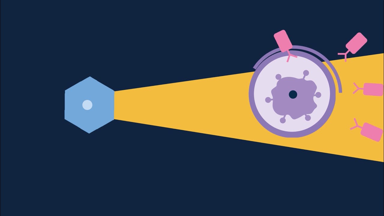 Immunotherapie bij kanker - kanker.nl