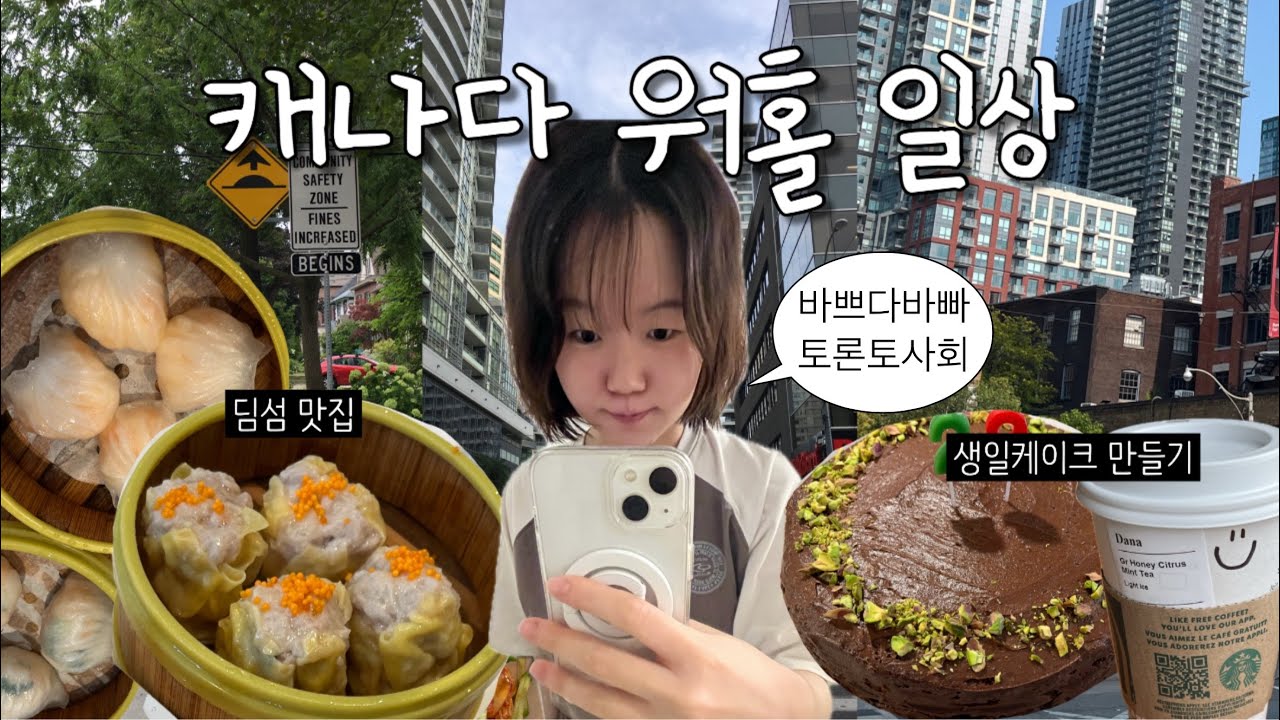 캐나다 워홀 VLOG🇨🇦 일주일만에 첫면접🫨 | 딤섬 맛집 발견 | 다운타운에서 먹방브이로그 | 생일케이크 만들기 | TTC 지하철 버스 | 토론토 적응기