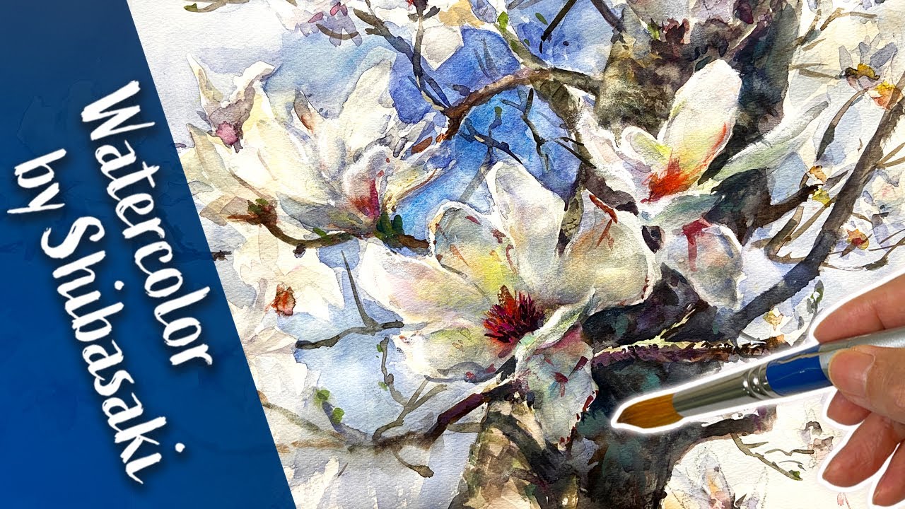 [Eng sub] Magnolia denudata, Watercolor painting / White Flowers / Shibasaki