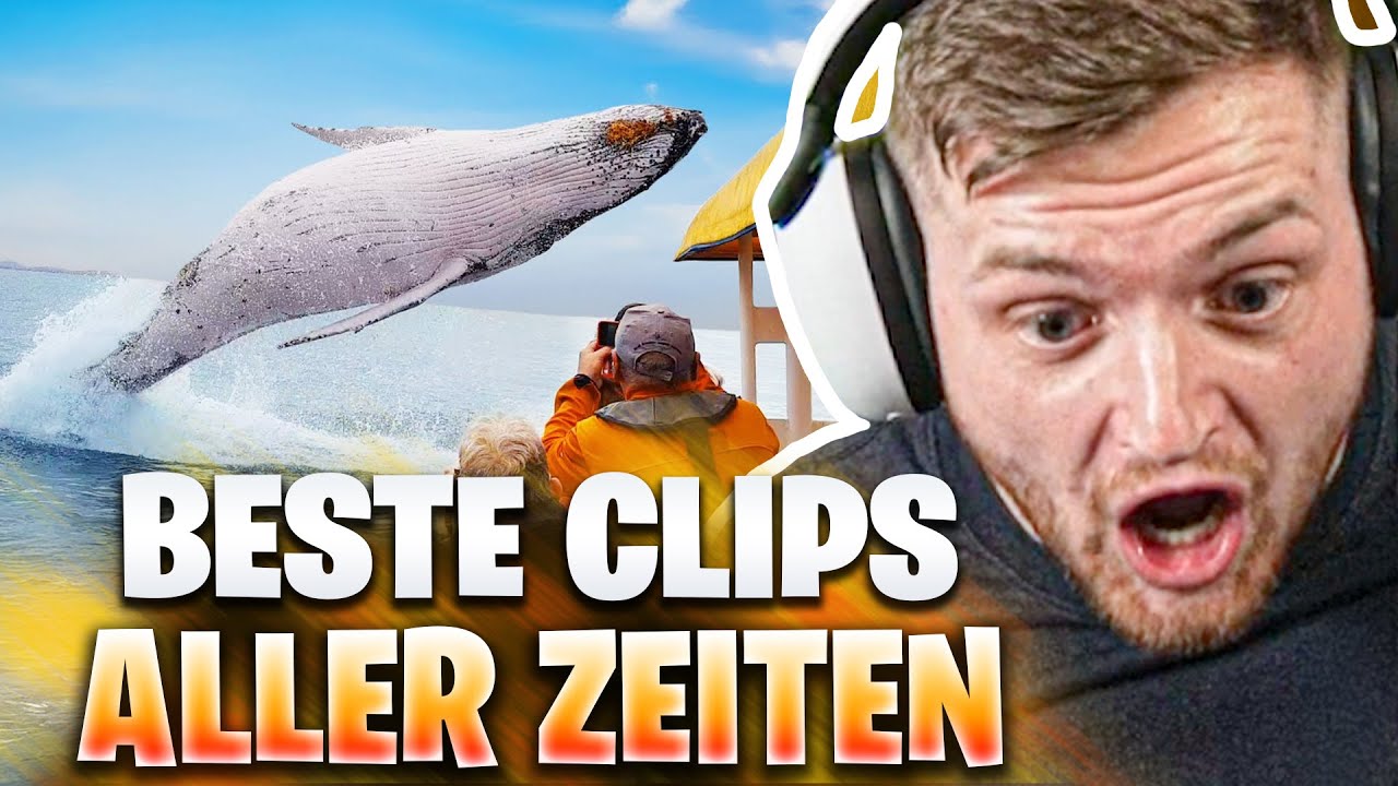 🤯😱Die KRASSESTEN Tierangriffe ALLER ZEITEN! - Unfassbar KRASSES VIDEO HILFEEE | Trymacs Highlights