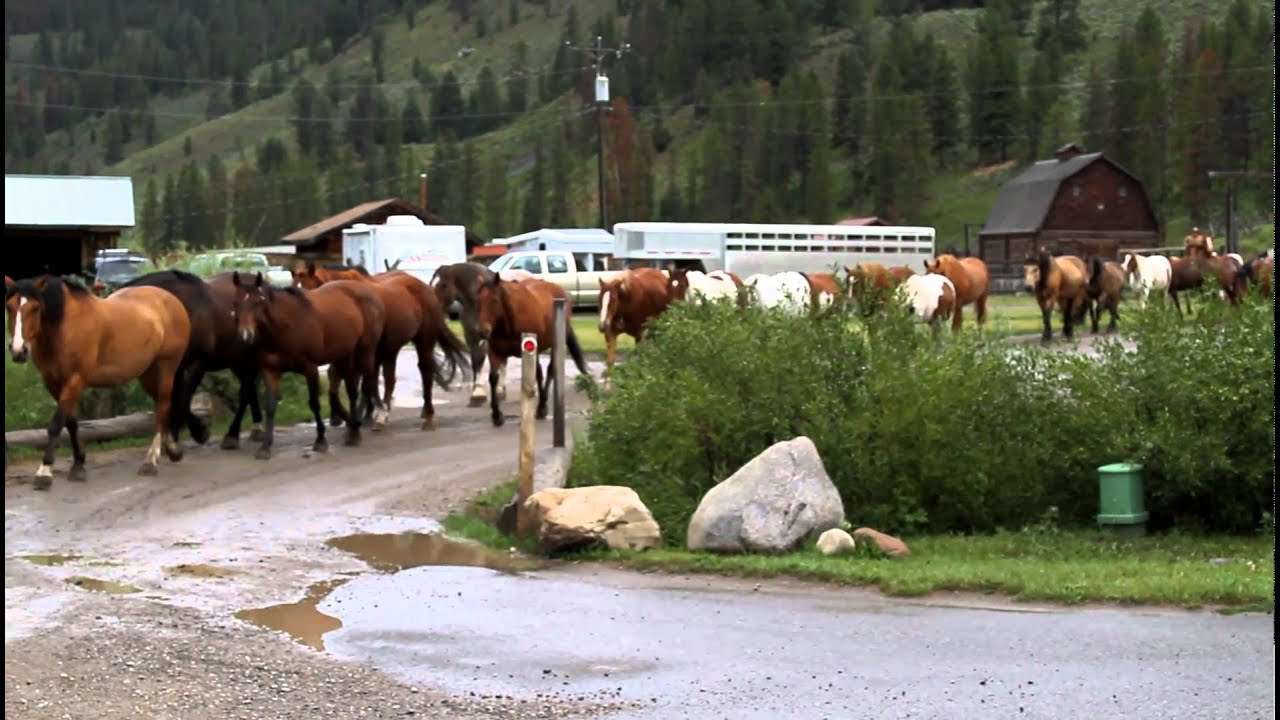 320 Ranch horse drive 2010