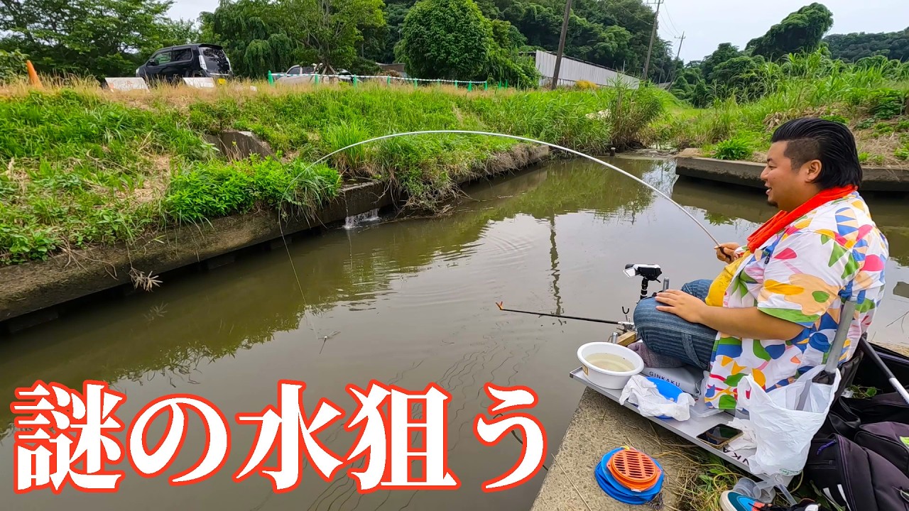 入り組んだ水路にあるナゾの流れ込みを狙って釣りしてみた