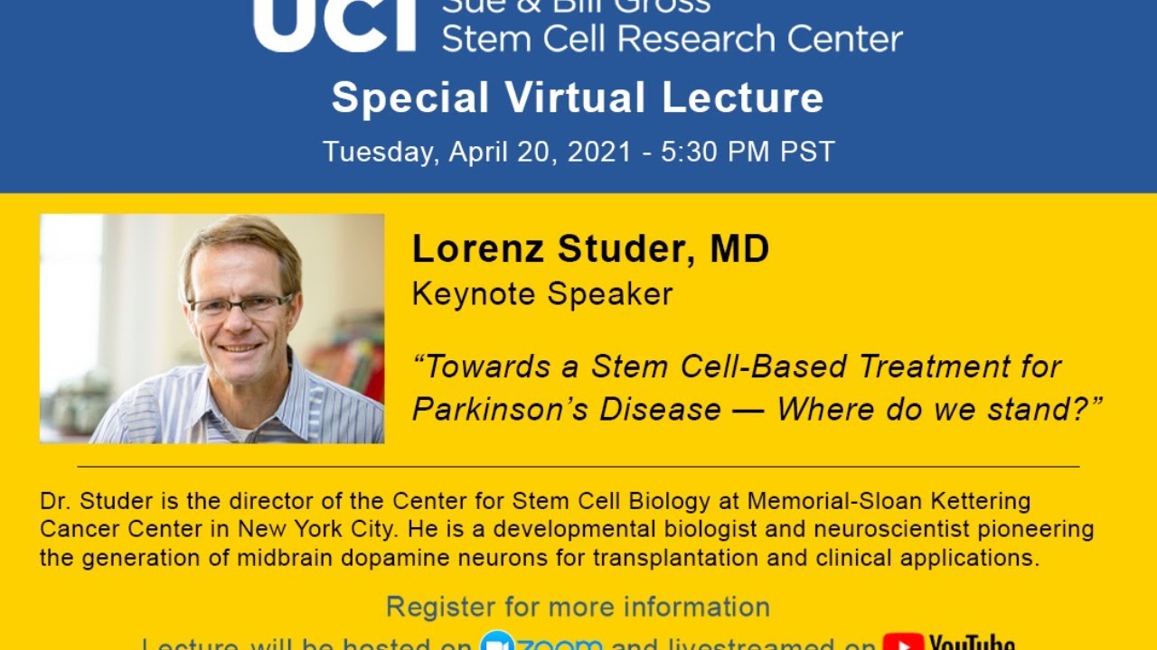Towards a Stem Cell-Based Treatment for Parkinson's Disease -- Where do we stand?