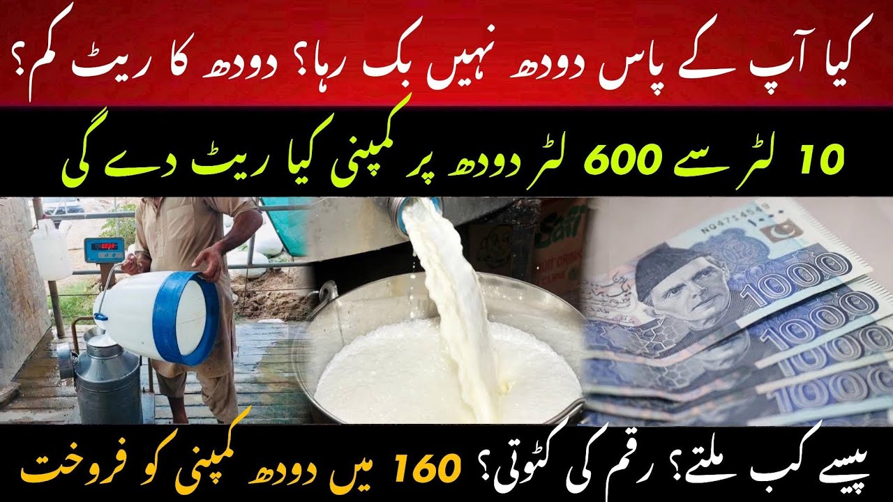 Nestle and Engro milk rates II Milk sale issue resolved II Dr. MUZZAMMIL HASSAN