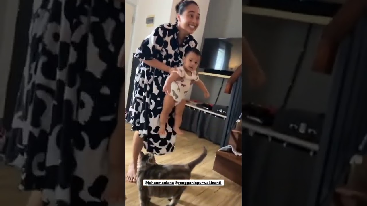 jimbon si kucing ramah,, main sama anak bayi sama gedenya dong..