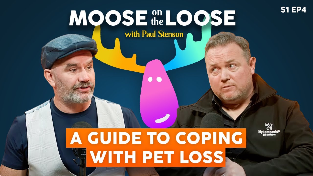 Fur-ever in Our Hearts: A Guide to Coping with Pet Loss