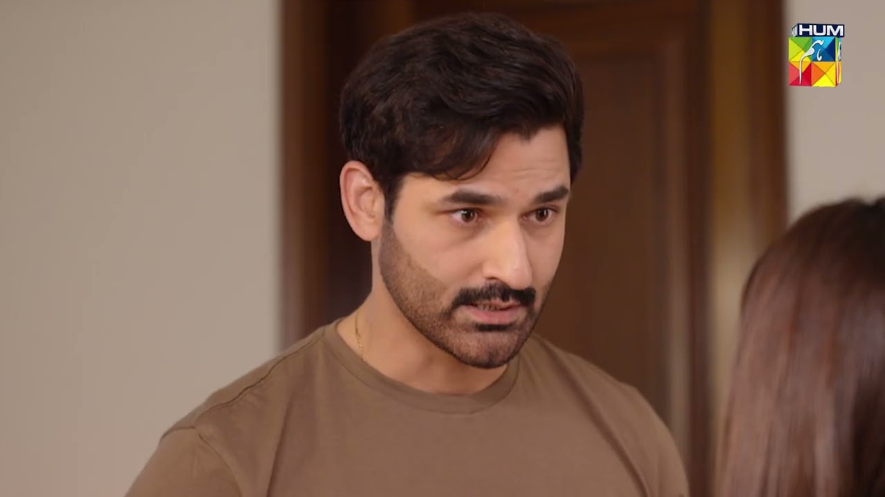 Aye Dil Aazma Nahin - Episode 12 Promo - [Mirza Zain Baig and Hina Tariq] - HUM TV
