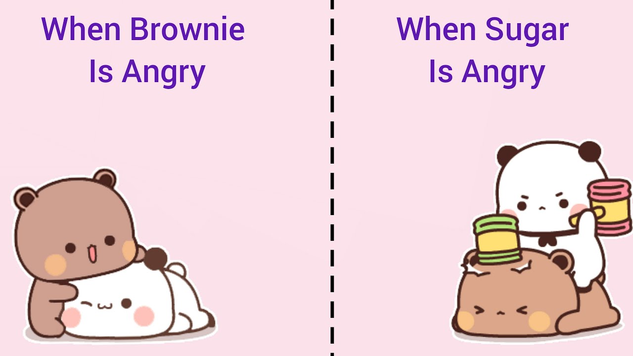 When Brownie Is Angry Vs When Sugar Is Angry😡 ||Sugar Brownie||