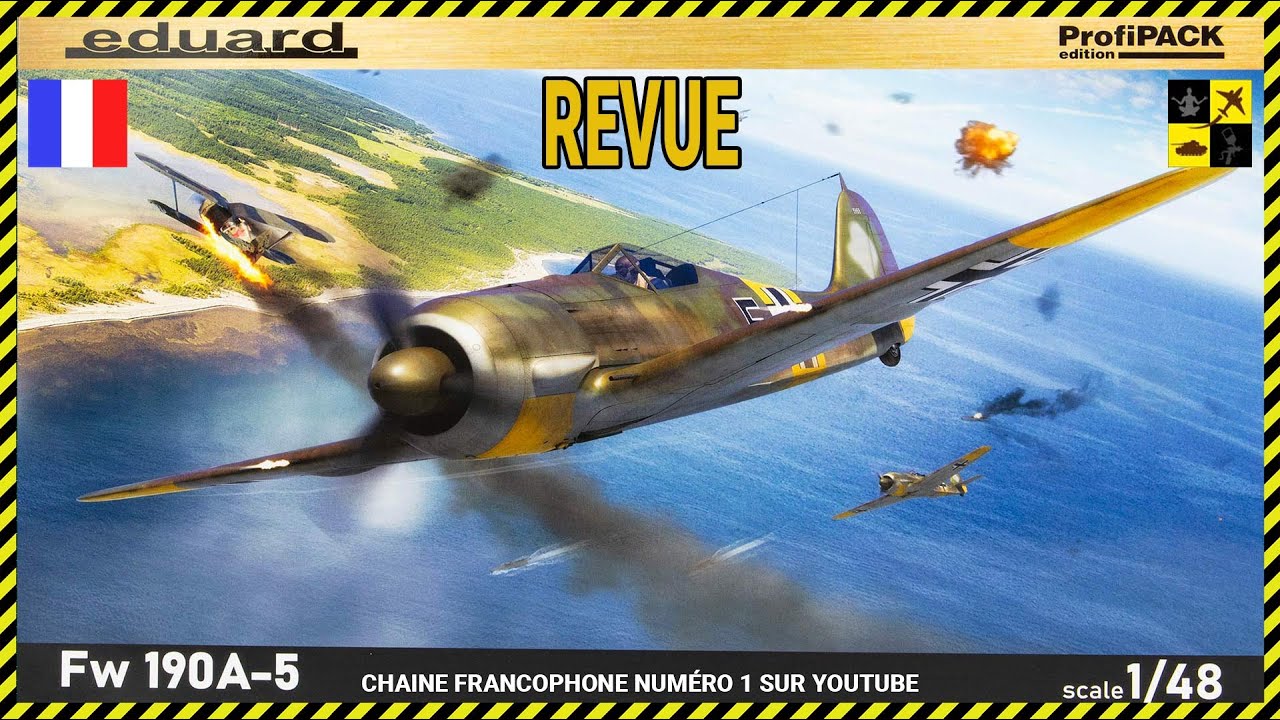 ✅ Plastikdream Revue: FW190 A5 Eduard au 1/48