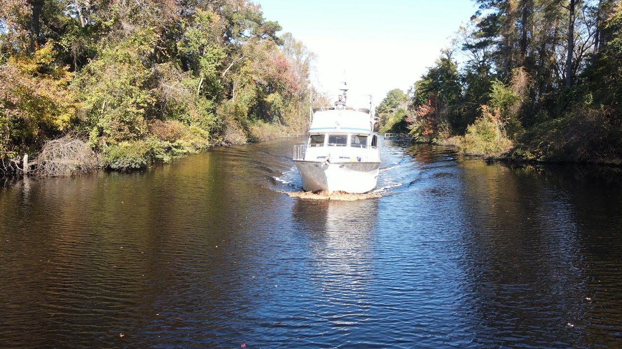 Boat Trip - Day 10 The Great Dismal Swamp