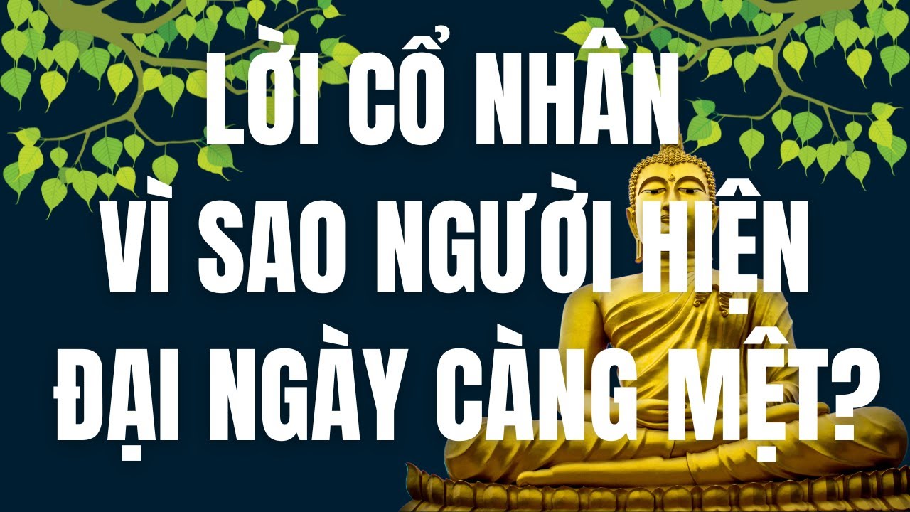Tâm Linh Trong Thời Đại 4.0: Nhân Quả Đến Nhanh Hơn Bạn Nghĩ