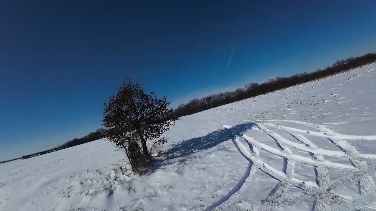 Winter Wonderland 1/27/26